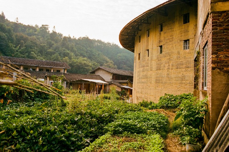 46903049212_43073b1c00_b