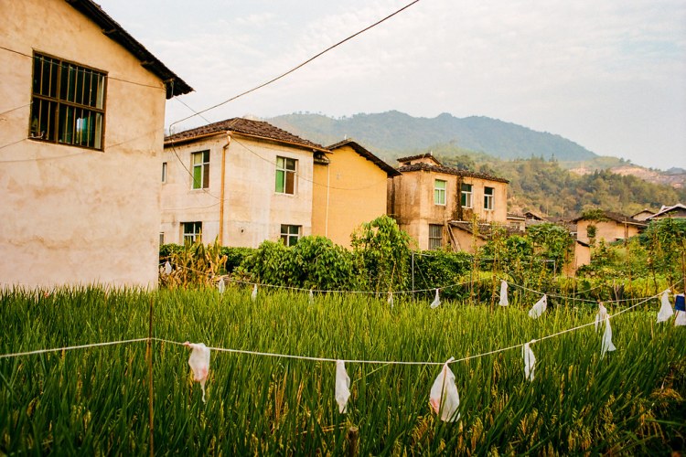 46903051932_74daaf433f_b