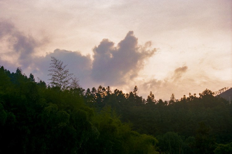 46903057332_733b62a1f6_b