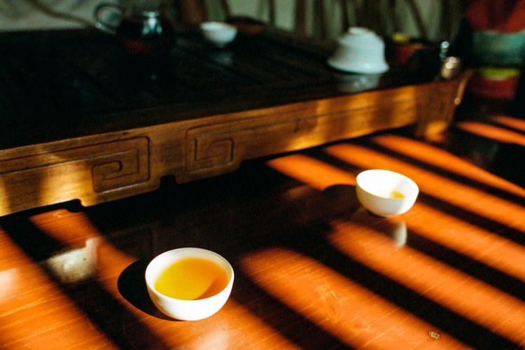 46955122421_8386362bf4_b