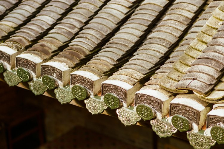 46955132251_8781cb1920_b