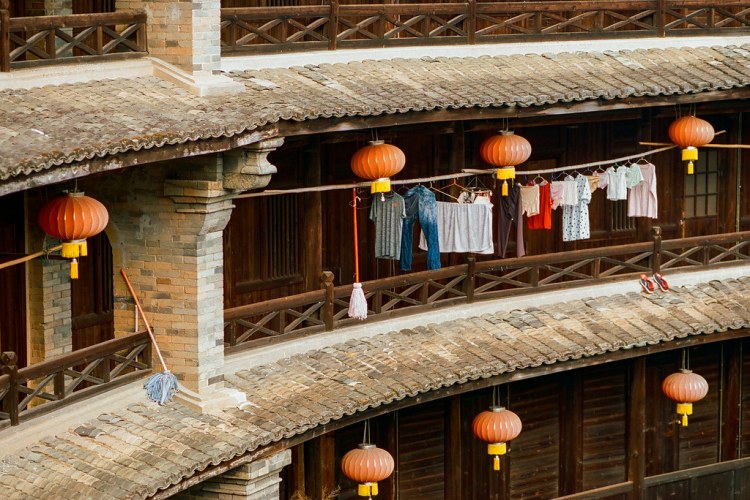 46955137481_f1eeceb058_b