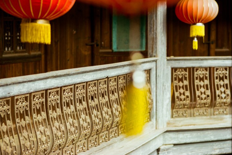 46955145961_4186569dc4_b